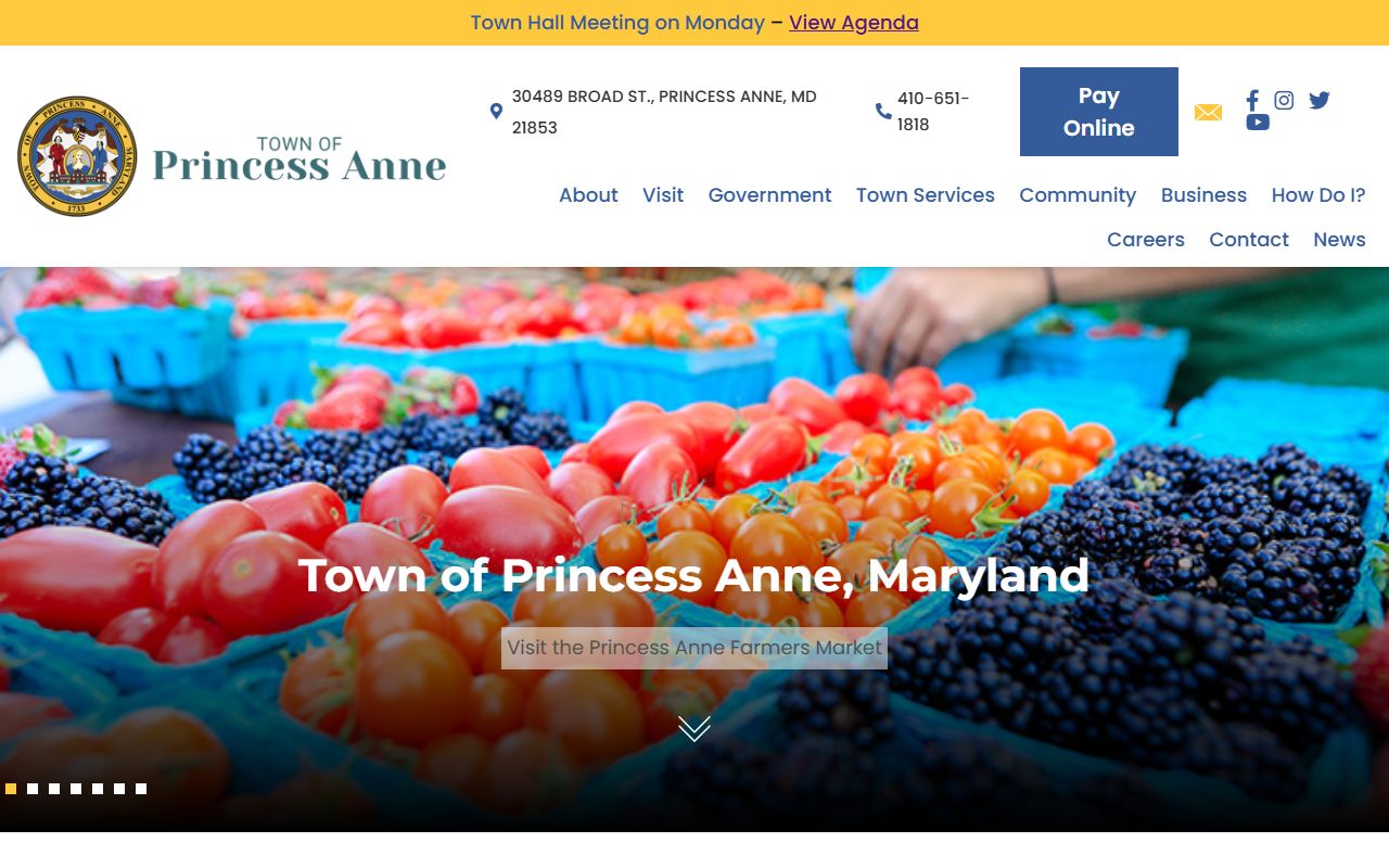 Town of Princess Anne website with links to local police blotter resources